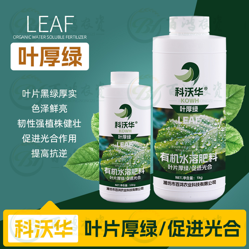 科沃华叶厚绿叶片增厚增绿黄叶变绿果树花卉蔬菜作物通用有机肥