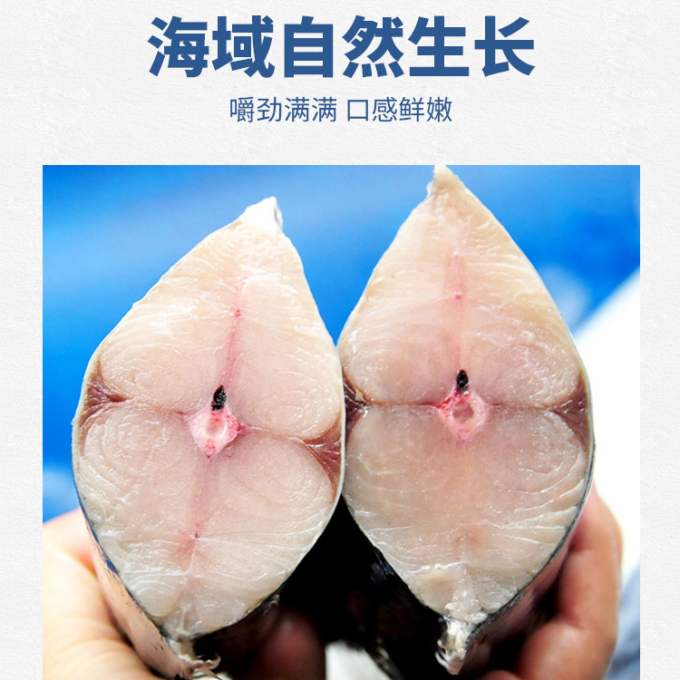渤海湾鲅鱼4斤(4-5条)新鲜冷冻捕捞速冻鲜嫩营养新鲜冷冻