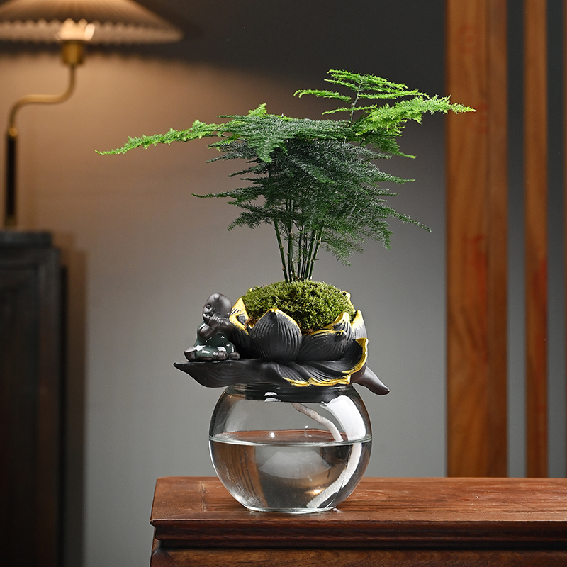 自吸水绿植盆栽六月雪发财树文竹水养办公桌植物花卉懒人好养盆景