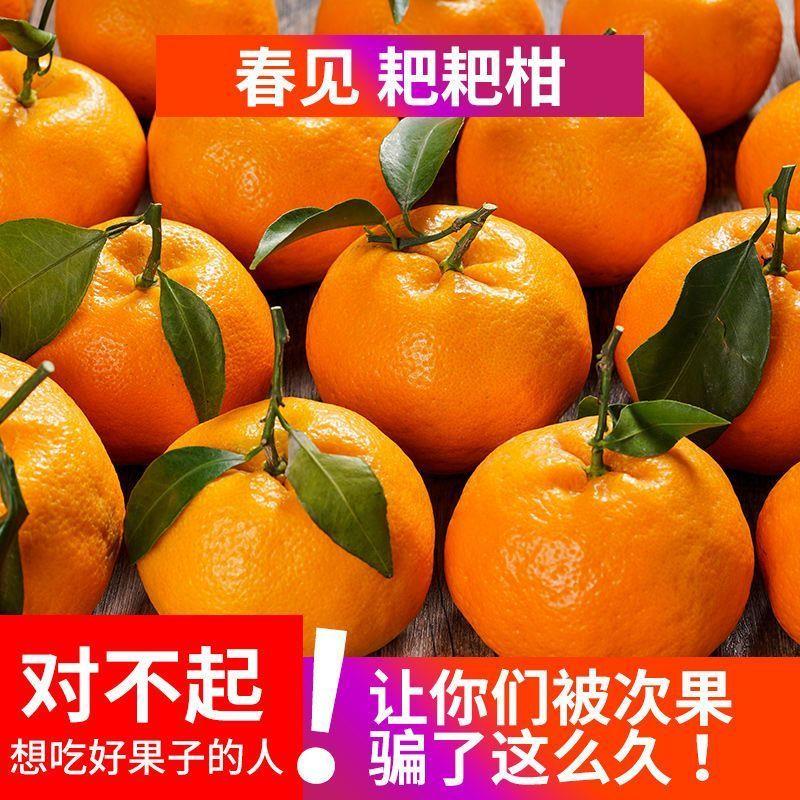四川丑橘耙耙柑橘子1-9斤薄皮应季新鲜水果春见粑粑柑桔子柑橘