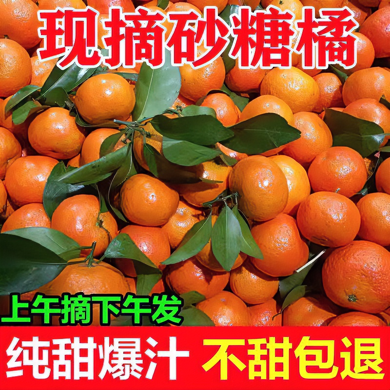 砂糖橘甜桔子新鲜水果1-9斤采摘当季沙糖桔柑橘农家冰糖蜜橘整箱