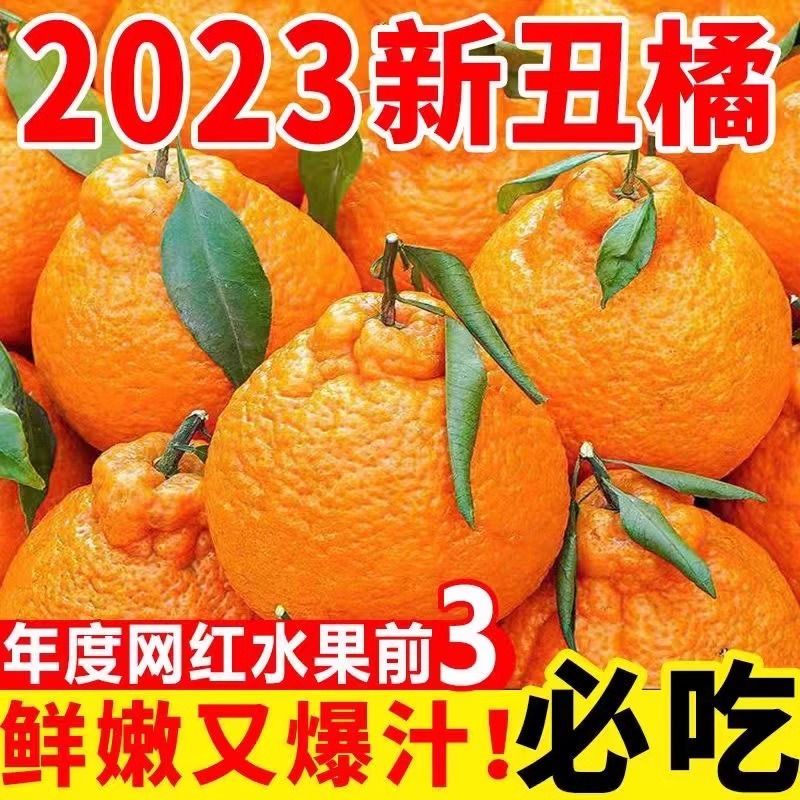 【现摘现发】四川丑橘不知火丑橘春见耙耙柑新鲜应季水果1-9斤大果
