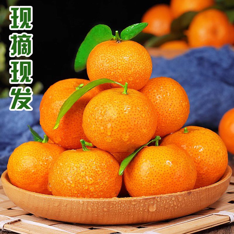 正宗广西沙糖桔薄皮砂糖橘1-9斤冰糖蜜桔应季节水果橘子新鲜柑橘