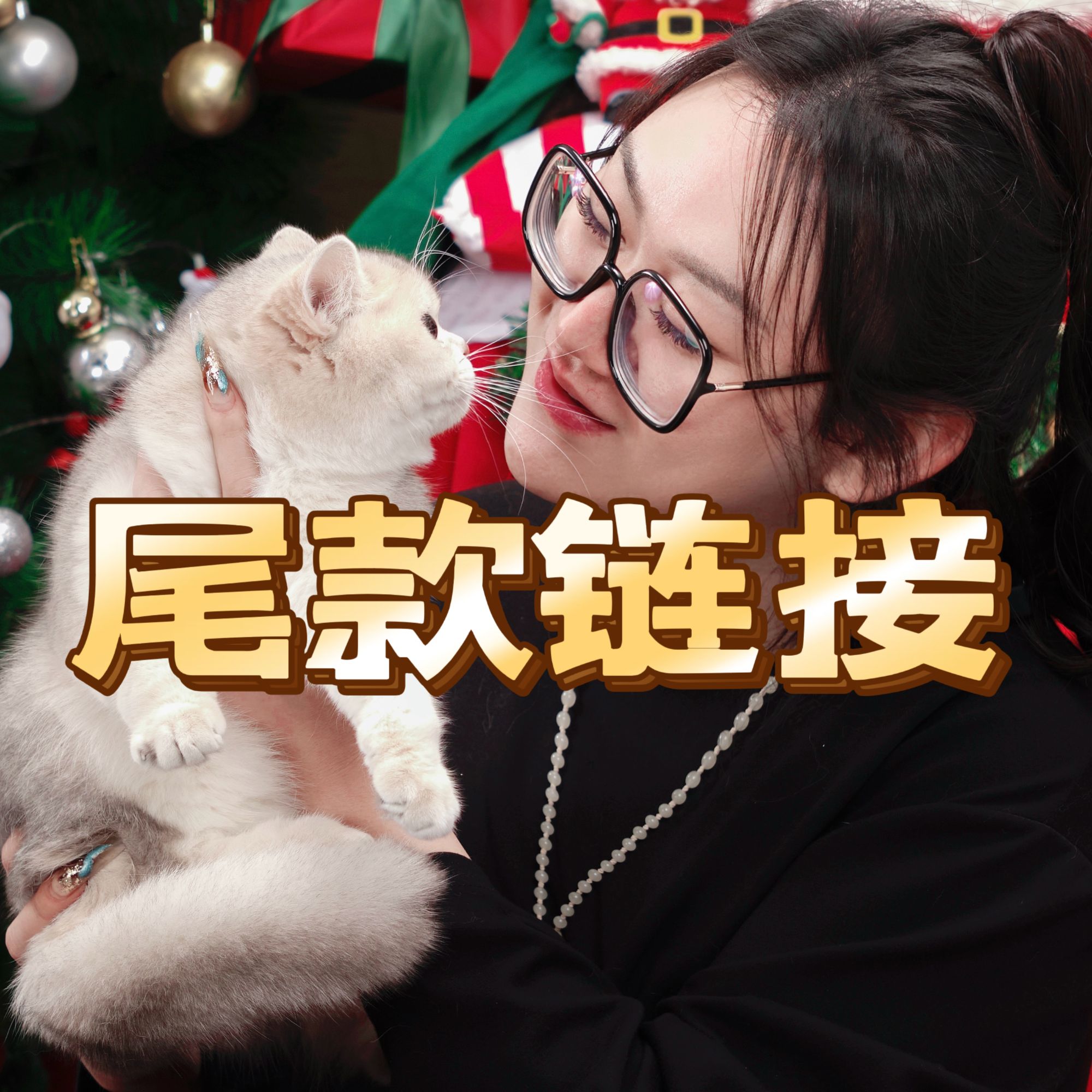 来了姊妹活体猫咪尾款链接