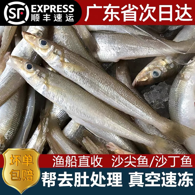 神泉本港扫莲沙尖12条左右杀好400克／5盒