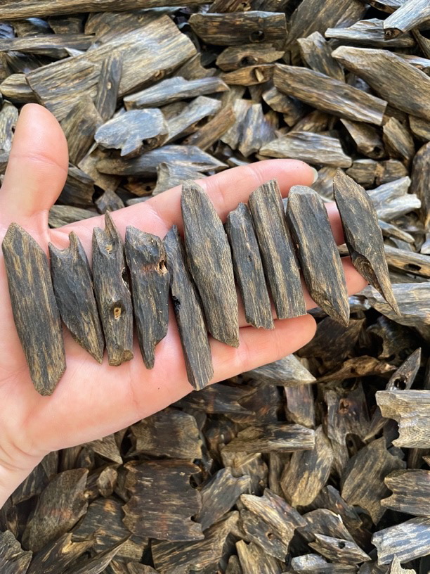 沉香木树心油99沉熏香块料多样性发货