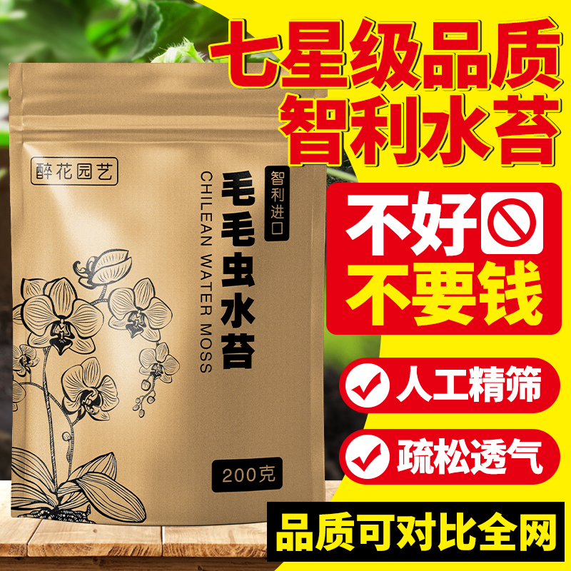 智利水苔蝴蝶兰专用毛毛虫水苔七星干苔藓兰花土植料乌龟冬眠垫材