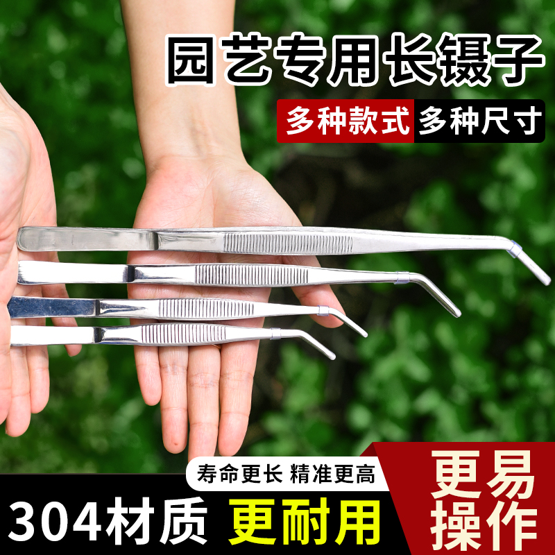 304不锈钢镊子加长加厚特长直圆头镊子园艺多肉专用种植工具夹子