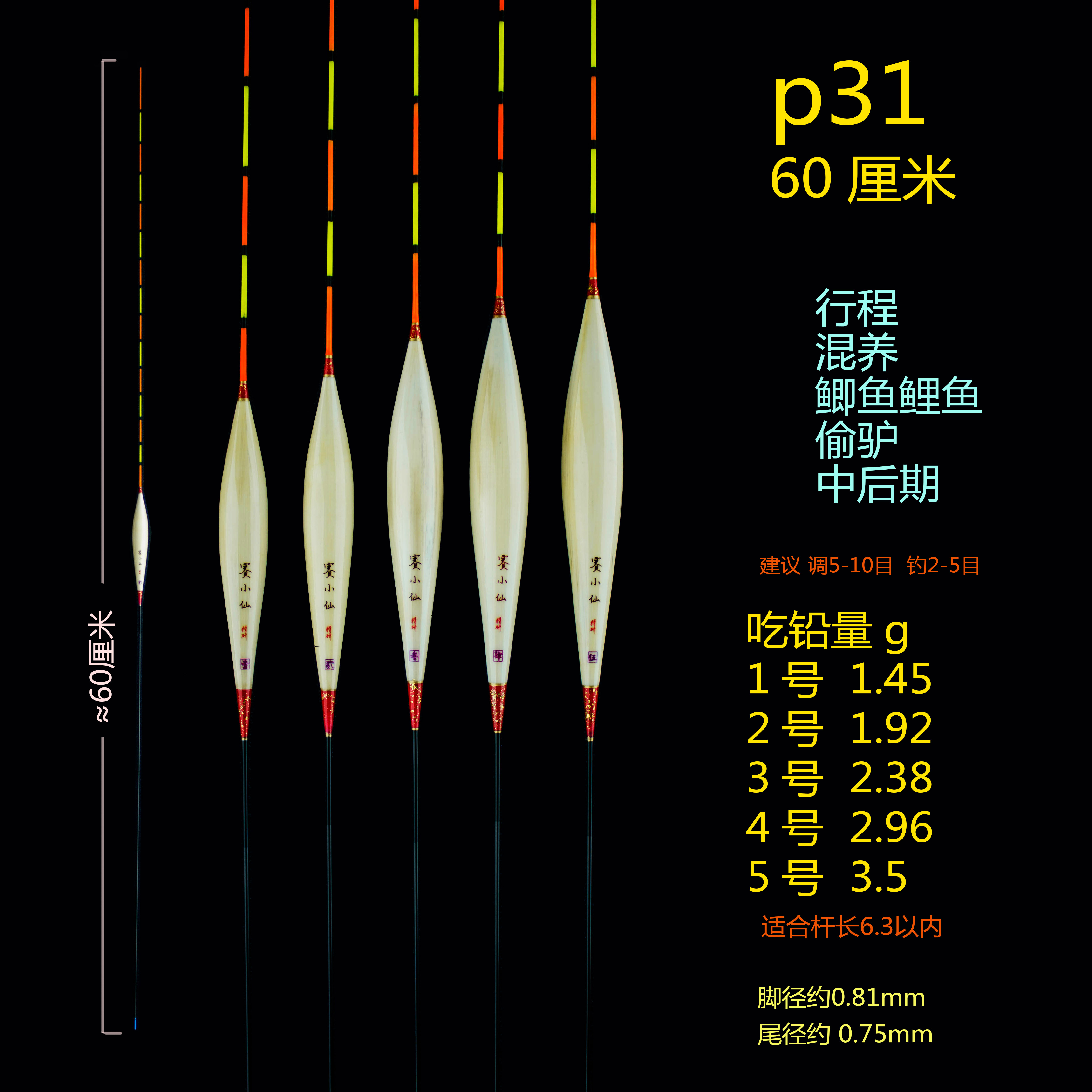 P31-60黑坑回锅鲤鱼行程偷驴细尾手工带壳芦苇赛小仙浮漂