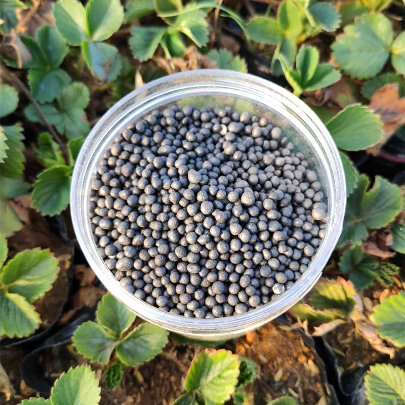 草莓加油包补充营养促生根发芽促花