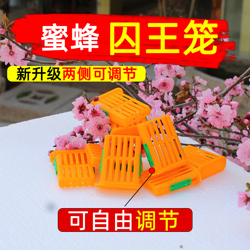 加厚囚王笼多功能囚王笼中蜂意蜂关王控王防分蜂用介王笼养蜂物资