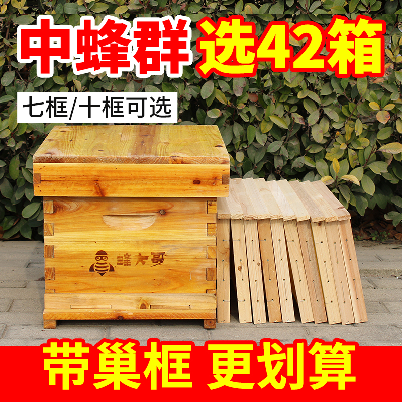 42蜂箱 中锋专用小型活框养蜂箱煮蜡烘干尺寸规格可选野外养蜂箱