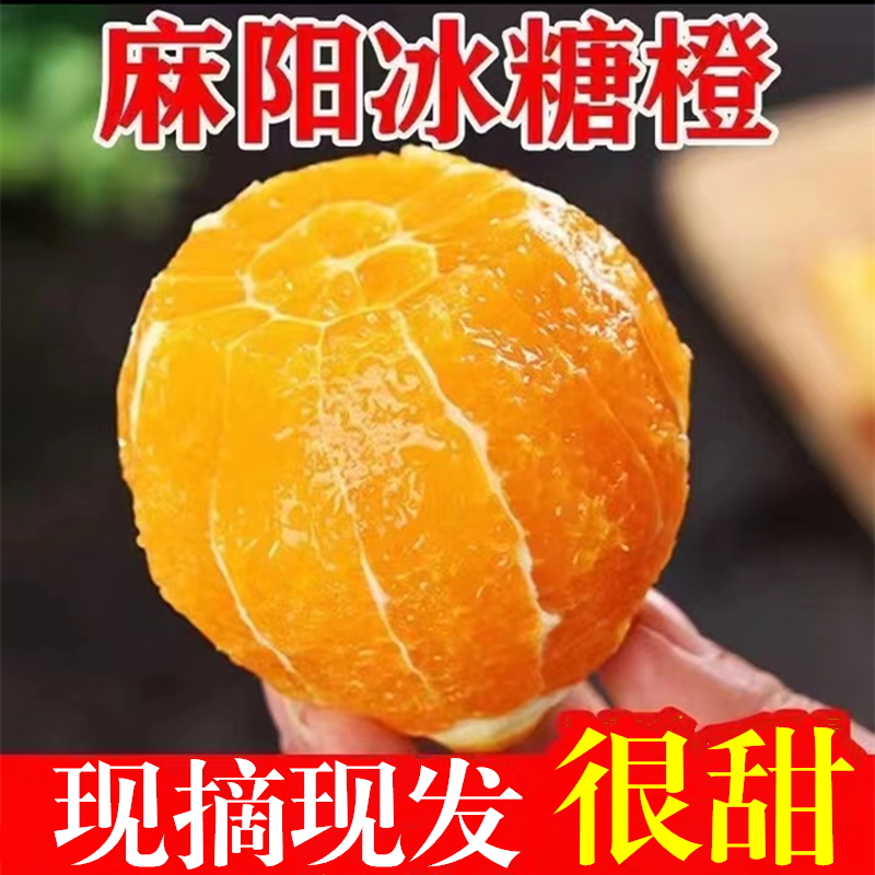 正宗湖南麻阳冰糖橙皮薄香甜爆汁应季水果现摘现发5斤9斤坏果包赔