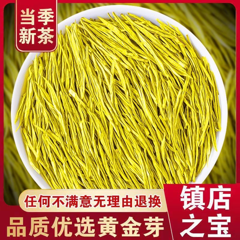 茗君子新茶浙江绿茶黄金芽毛峰工艺浓豆香型老茶客推荐鲜嫩