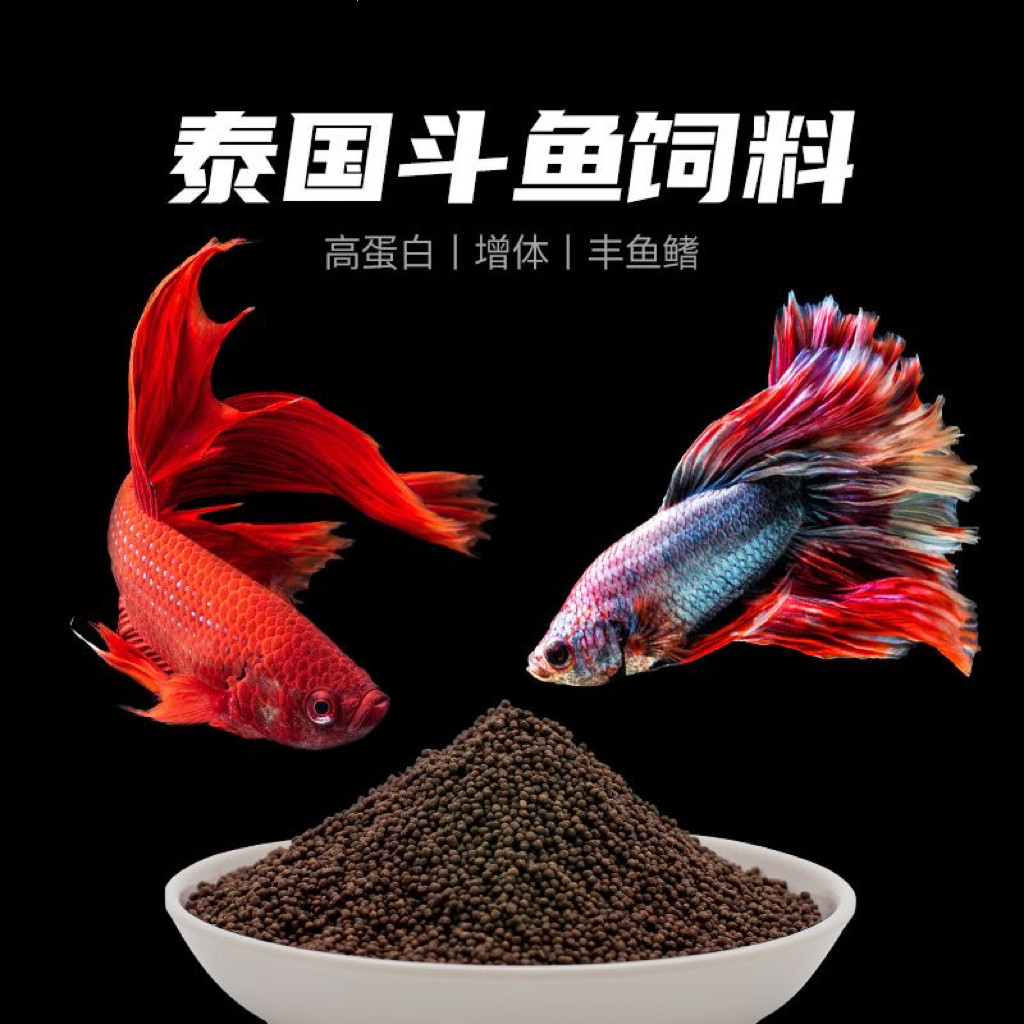泰国斗鱼优选高蛋白品质饲料喂食热带观赏鱼诱食小颗粒饲料