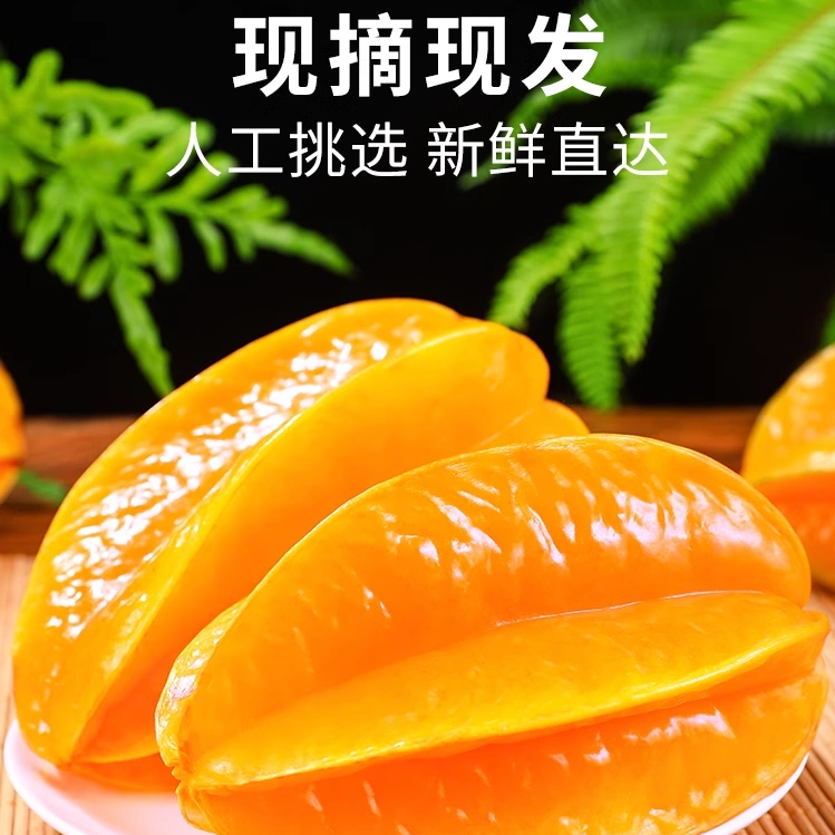 正宗下河树上熟甜杨桃水果新鲜采摘产地直发皮薄肉厚清甜多汁