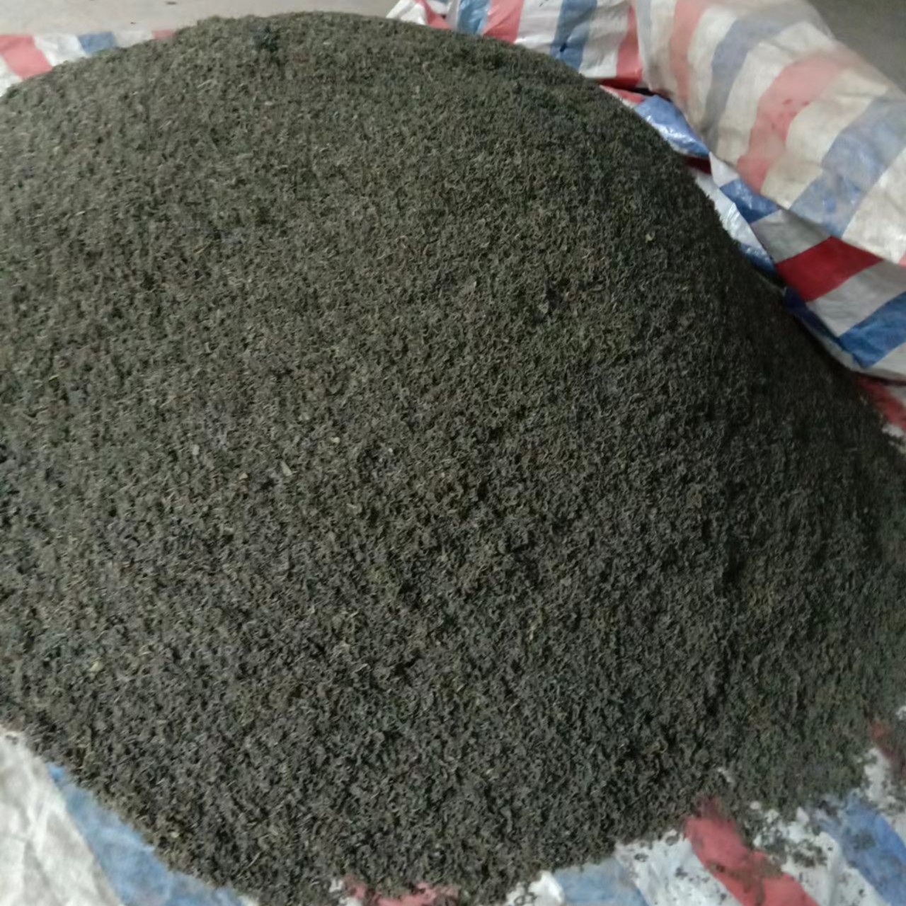 高山早春髦峰500g