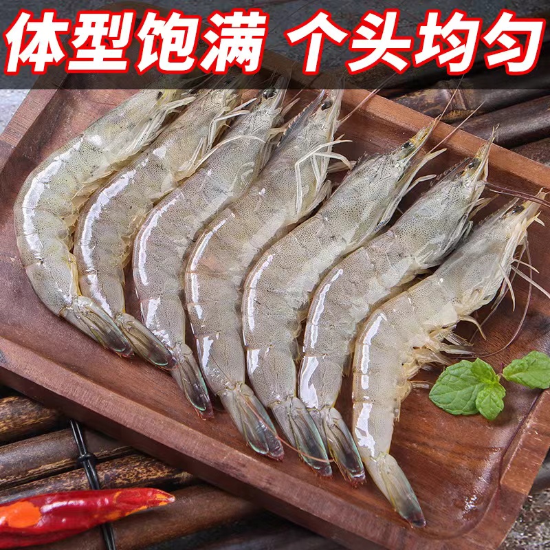 【渔民】2030规格到手4斤海捕大虾一斤10只到15只一盒到手50左右