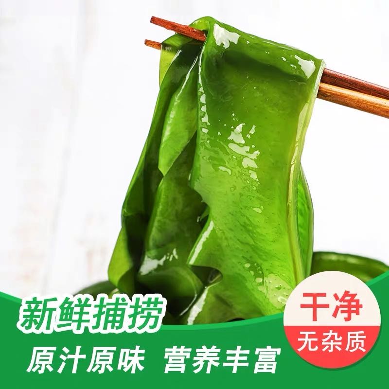 【真心推荐】盐渍裙带菜 独立包装100g/包