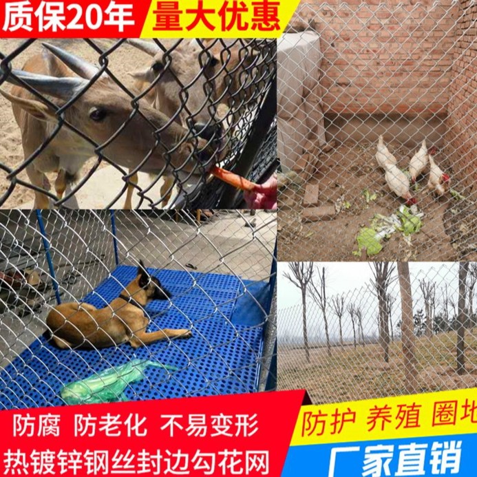 新养殖网围网勾花网栏网养网热镀锌羊狗笼结实耐用不生锈定制工厂