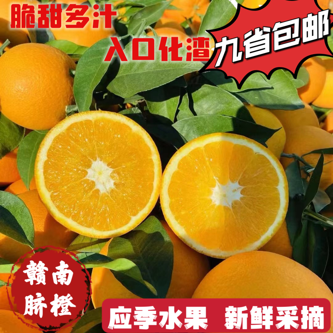 橙子江西赣南脐橙现摘现发应季水果脆甜化渣孕妇手剥橙10斤包邮20
