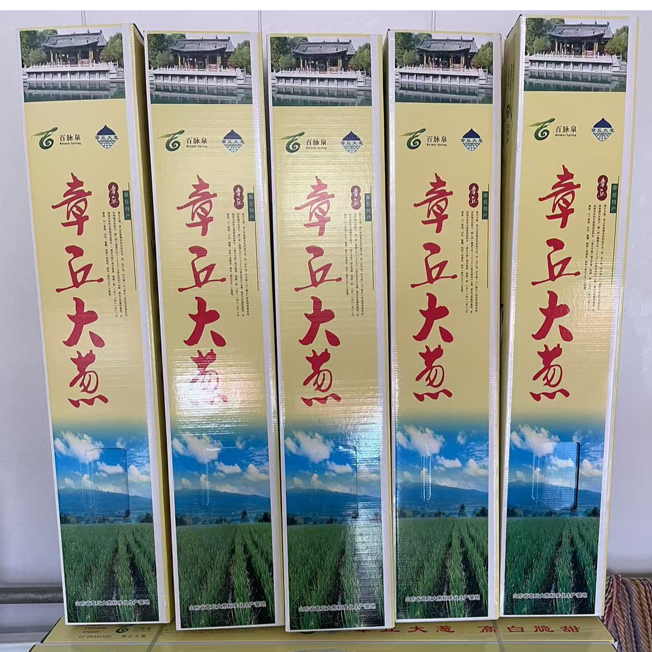 正宗章丘大葱 自产自销 5斤