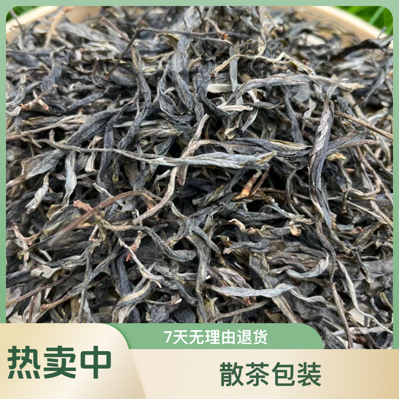 【云南普洱茶生茶】【忙肺】2024年正山古树散茶（回甘久茶气霸道）