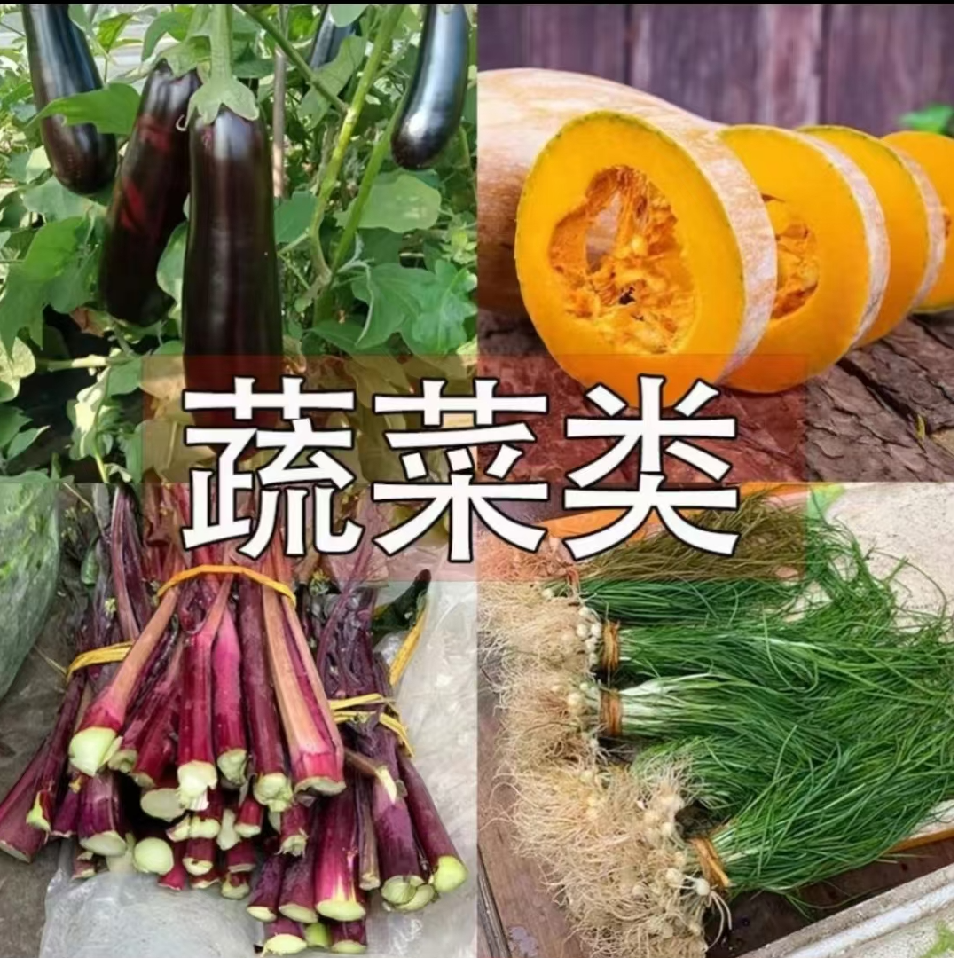 【周老狮到村直播生鲜】生鲜蔬菜现摘现发（顺丰包邮）