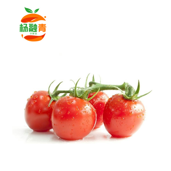 【玲珑千禧】小番茄一盒