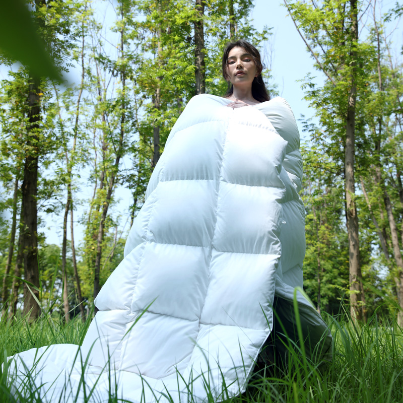 【MM】外贸酒店订单纯色加厚保暖冬季被芯