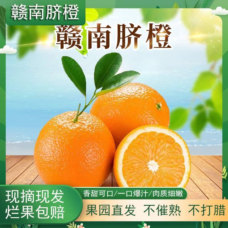 【现采现发】赣南脐橙新鲜橙子十斤装赣南脐橙果园直发甜橙原产地