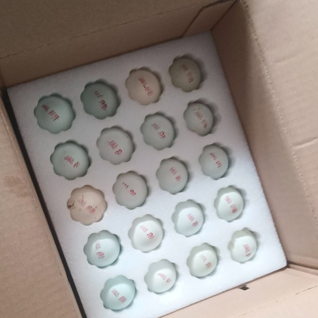 鹊山鸡抱窝蛋受精蛋绿壳包受精80%自然受精现捡现发顺丰速运