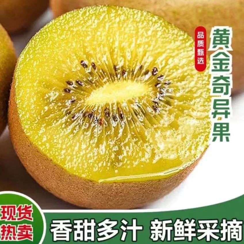 【现摘现发】15枚四川蒲江黄心猕猴桃纯甜无酸果味浓郁