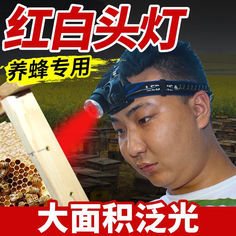 养蜂用头灯双光源红光灯蜜蜂专用抓王头灯夜晚红头灯移虫育王工具