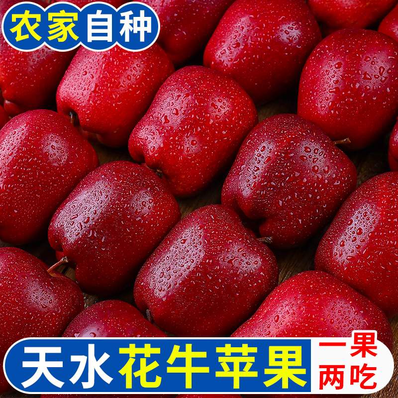 【御品一园】甘肃天水花牛苹果水果新鲜当季整箱包邮蛇大圣诞平安果