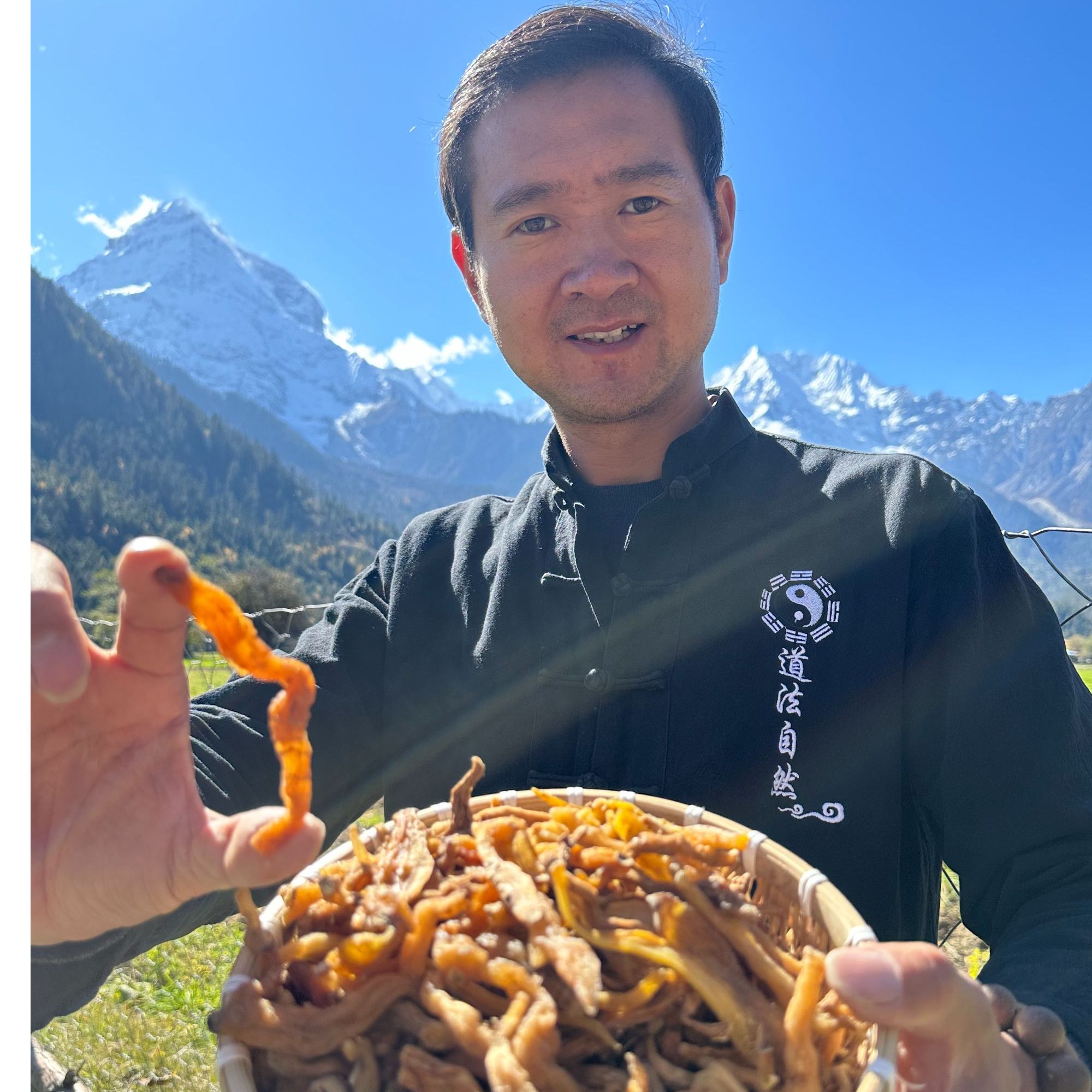 【木白】西藏高海拔下山货玉竹干