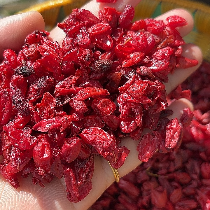 【木白】下山货山茱萸高海拔山茱萸