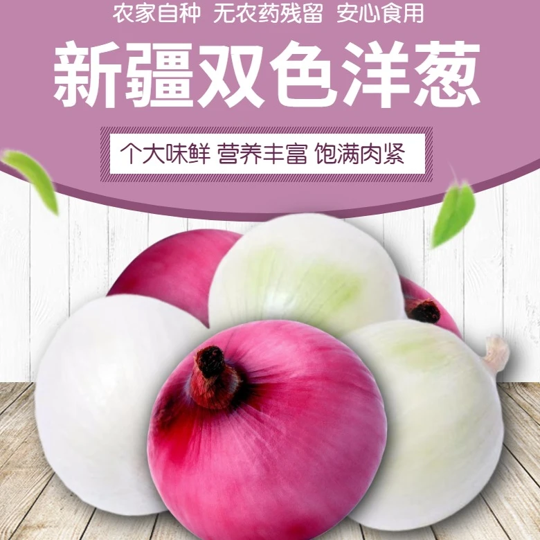 紫洋葱新疆皮牙子紫洋葱新鲜蔬菜手抓饭凉拌皮辣红新疆发货5斤