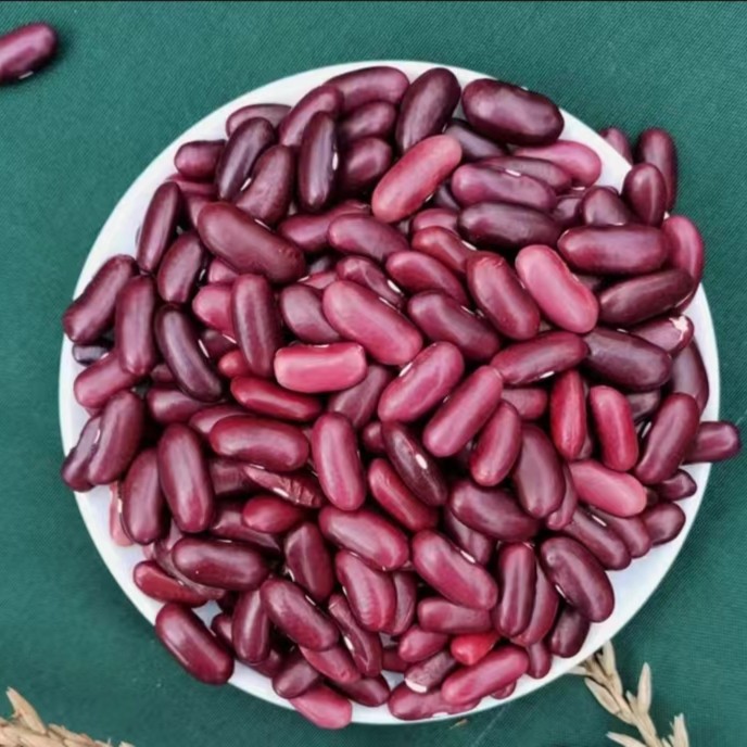  【阿都小宁】云南宣威高山农家自种红腰豆颗粒营养饱满皮薄新货