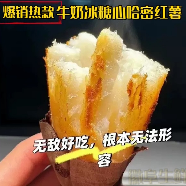 哈密红薯冰糖心薯皮薄蒸煮香甜去皮肉质美味皮薄生态种植哈密薯