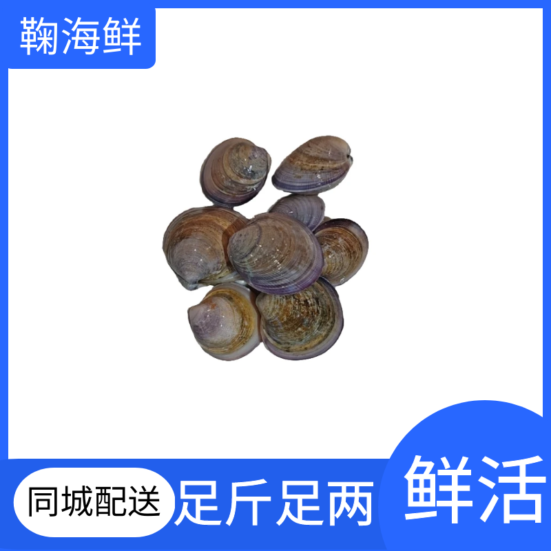 七彩贝