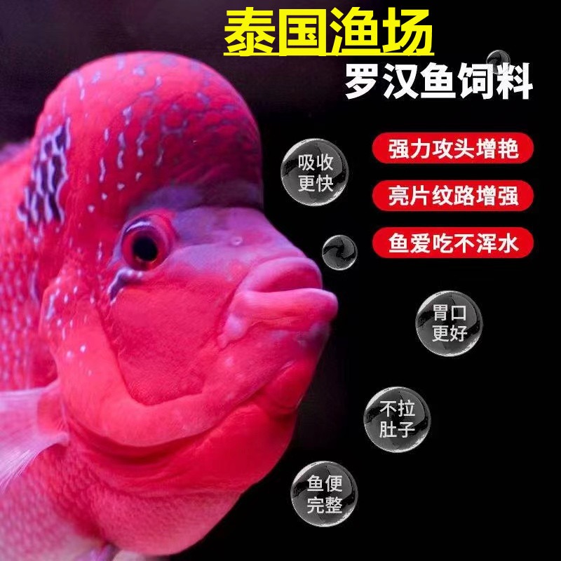 泰国渔场进口罗汉鱼专用饲料助起头爆头增色热带鱼鹦鹉鱼食寿星头