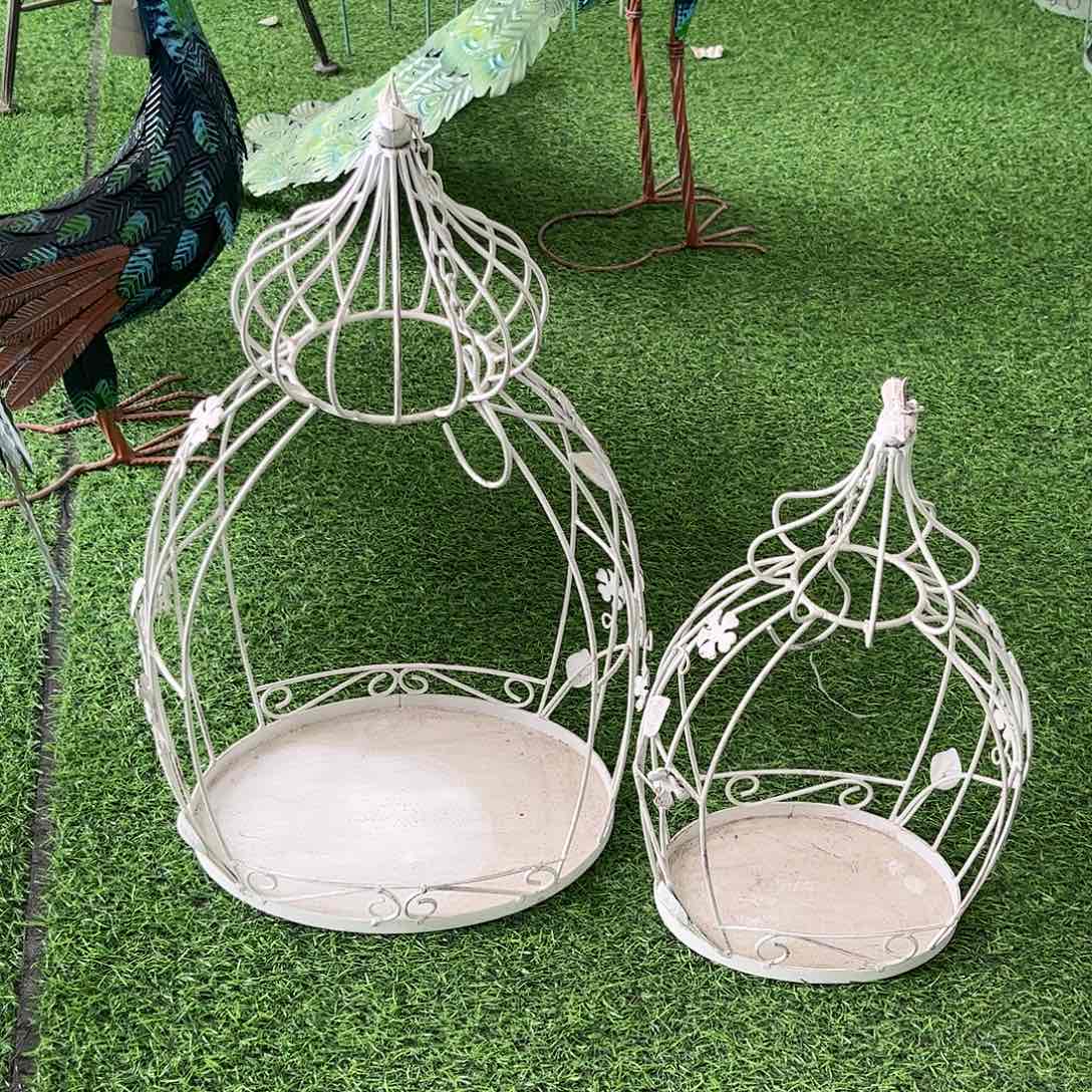 红陶20CM（含）-50CM（不含）