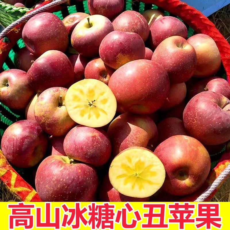汉源高山糖心苹果疤痕瑕疵苹果不影响食用口感好现摘苹果冰糖心