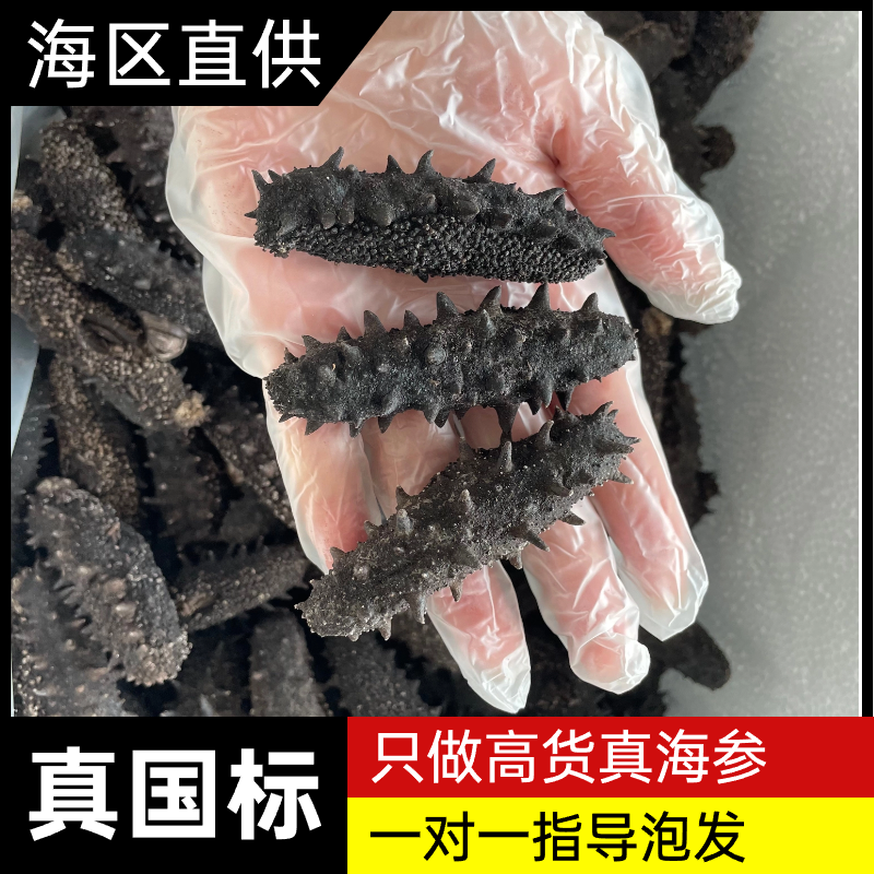 【国标大头特惠】高涨发真国标高货大货干海参