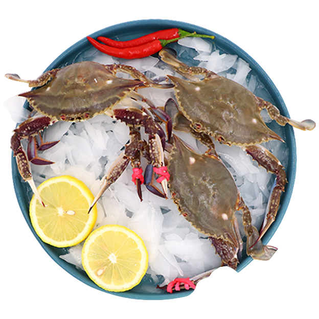 【陶林居店/东港飞蟹】约2斤起 单只约5两起【保鲜不保活】I