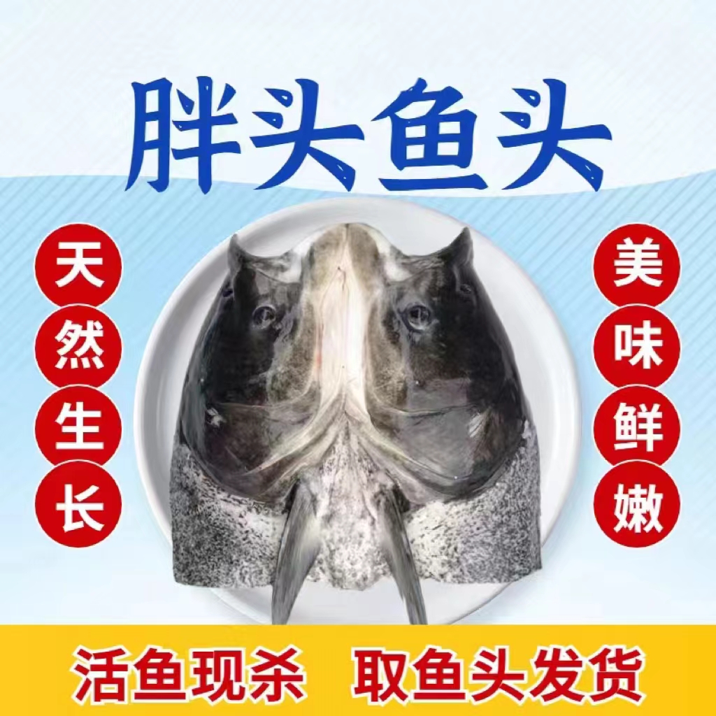 千岛湖胖头鱼鱼头活杀冰鲜现切光鳙鱼花鲢鱼头整个带鳃称5—15斤