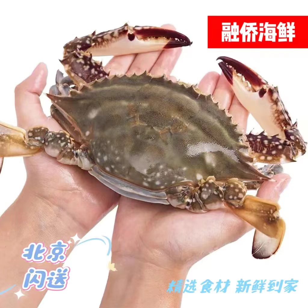 【新鲜断氧】4.5斤  梭子蟹 海蟹 海鲜