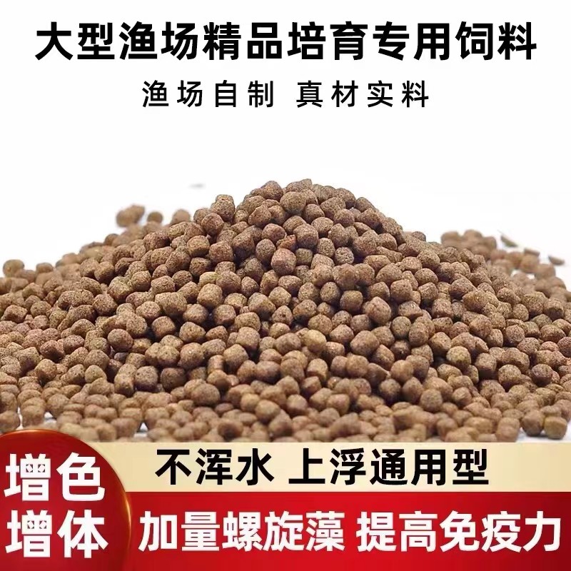 锦鲤饲料淡水鱼观赏鱼通用增色增肥鱼粮上浮小颗粒家用不浑水鱼粮
