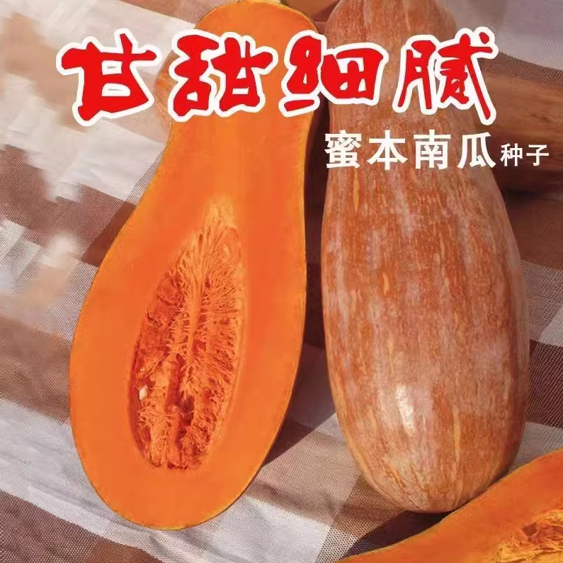 蜜本南瓜种子种籽苗食用香甜早熟秧高产蔬菜孑菜种长纯种密本细腻